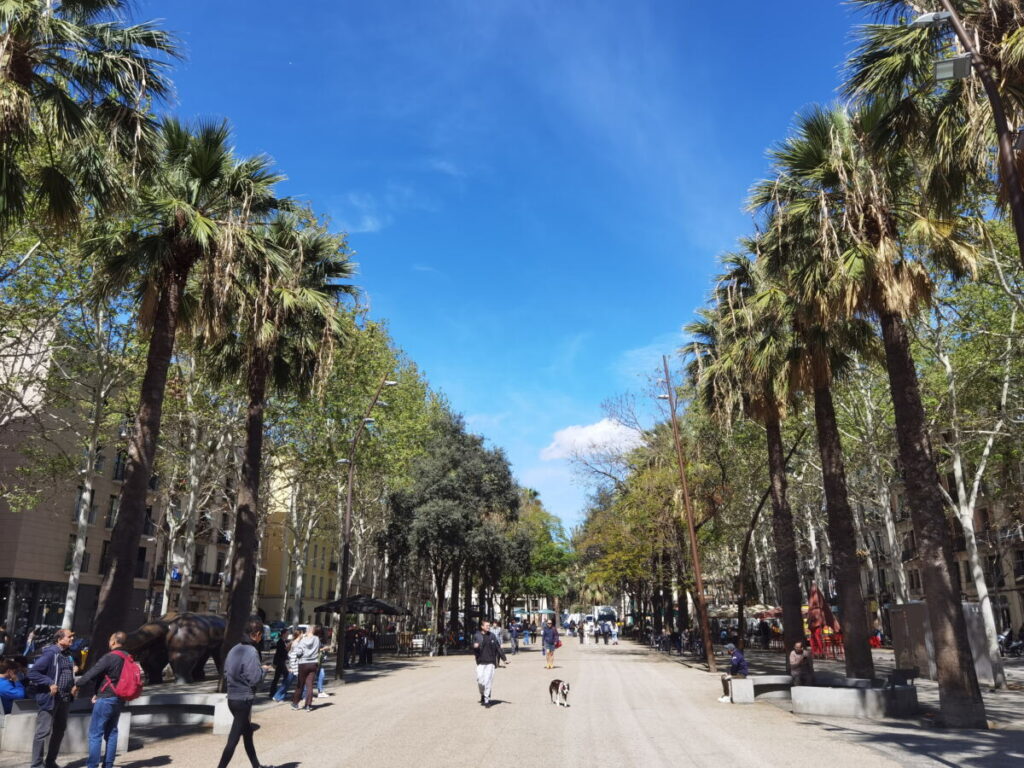 So kannst du auf der Rambla del Raval spazieren